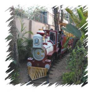 Karnavati Train